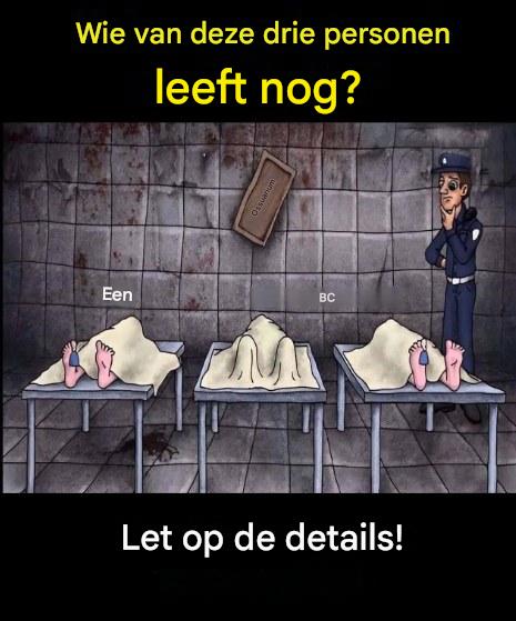 Observatie-uitdaging: Ontdek het mysterie van deze bevroren scène
