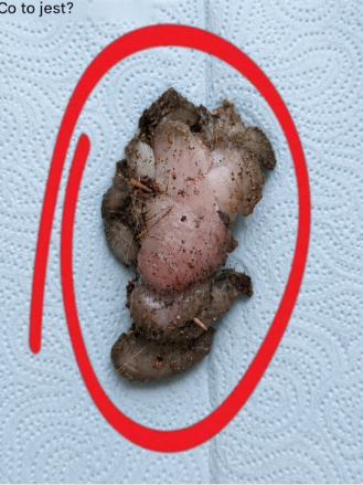 Ik vond dit in de kamer van mijn vriendin, onder de kast. Ik zit hier nu naar te staren en probeer te bedenken wat het is, maar het lukt me niet. Ik schaam me.