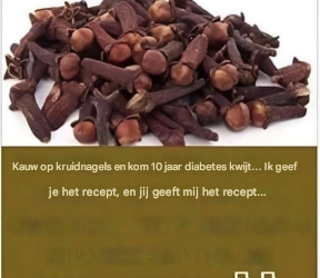 Kauw op kruidnagels en je herstelt van… lees meer!