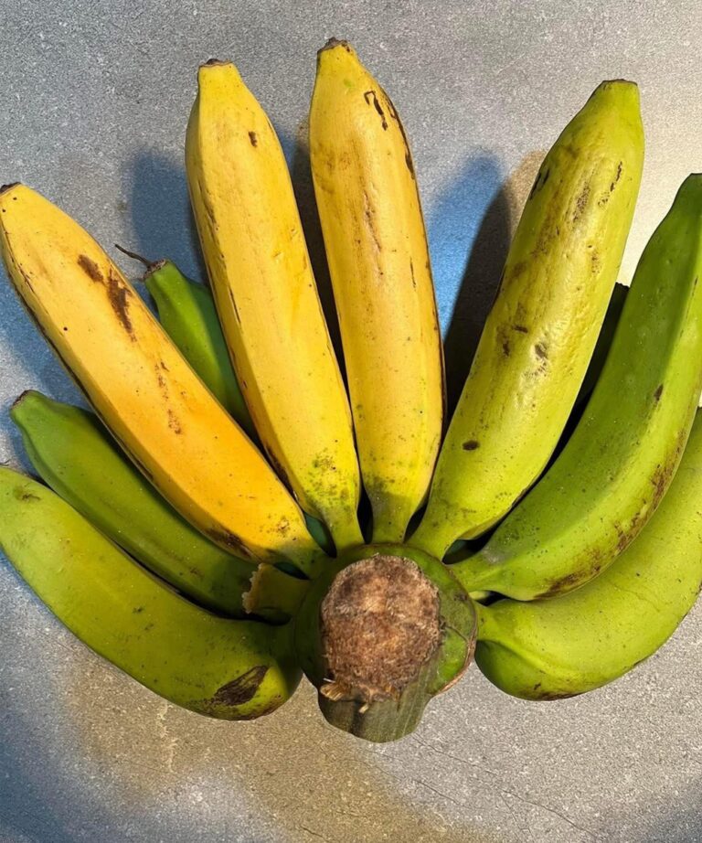 Artsen onthullen dat het eten van een overrijpe banaan de volgende gevolgen kan hebben…