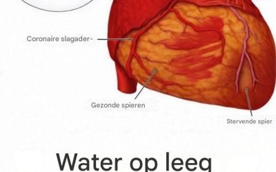 Heeft het drinken van water ‘s ochtends en na het wakker worden een gunstig effect op je algehele welzijn?