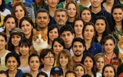 Als je ogen gezond zijn, hoeveel katten staan ​​er dan op de foto?