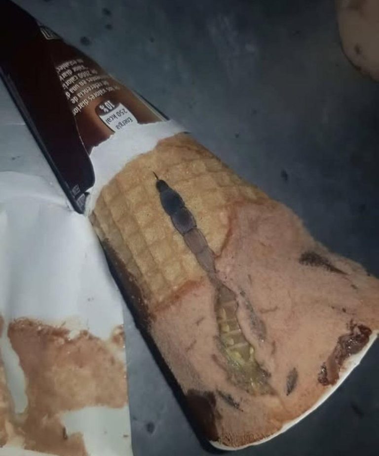Vandaag opende mijn dochter haar favoriete chocolade-ijsje.