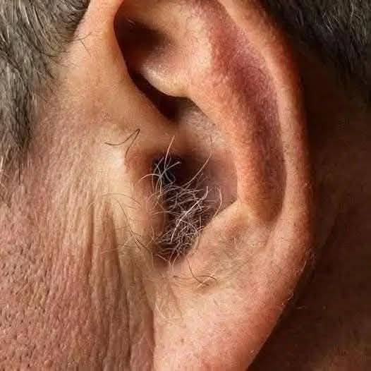 WIST JE DAT? Als er haar op je oren groeit, komt dat doordat je lichaam…