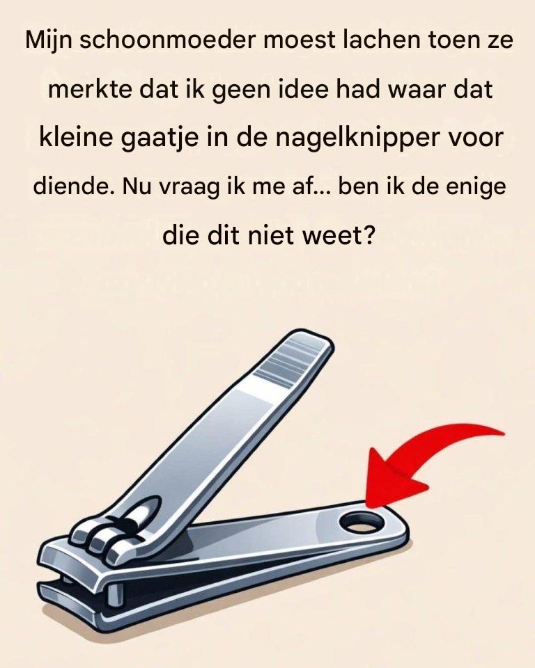 Wat zijn de redenen hiervoor? Dit is waar het voor dient.