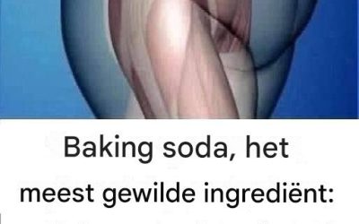 Wist je dat bakpoeder veel gebruikt wordt bij maagpijn omdat… Lees meer