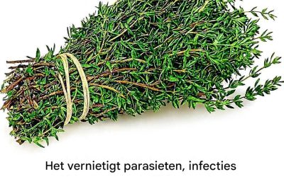 Gebruik oregano en een aromatische pizza.