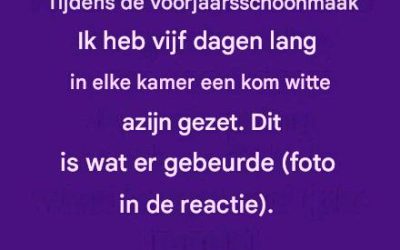 Tijdens de voorjaarsschoonmaak heb ik vijf dagen lang een schaal met witte azijn in elke kamer laten staan. Dit is wat er gebeurde.