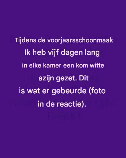 Tijdens de voorjaarsschoonmaak heb ik vijf dagen lang een schaal met witte azijn in elke kamer laten staan. Dit is wat er gebeurde.