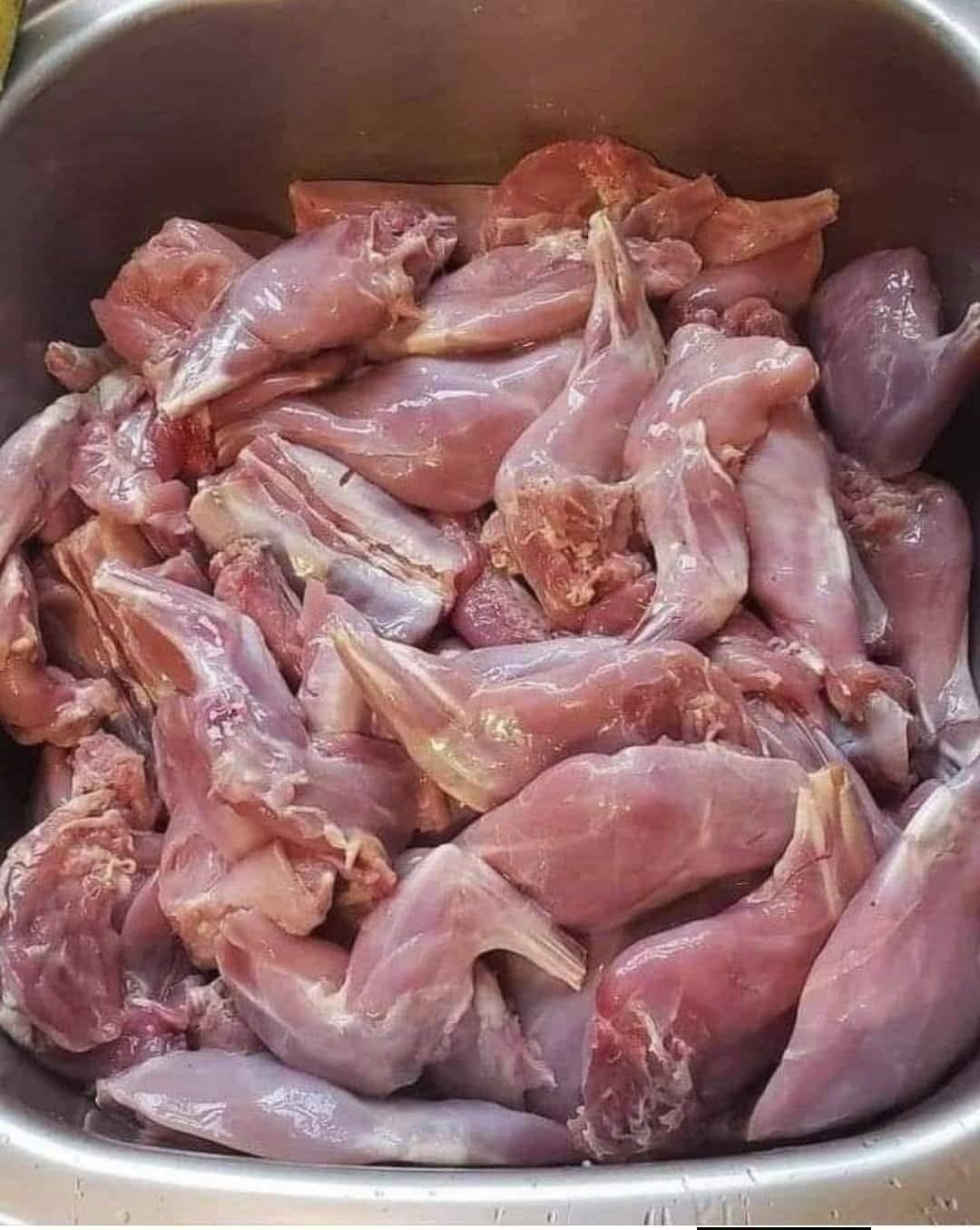 Wat voor soort leven is dit?