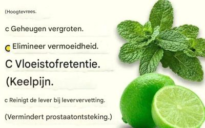 Dit is de manier waarop u uw producten kunt maken of combineren: