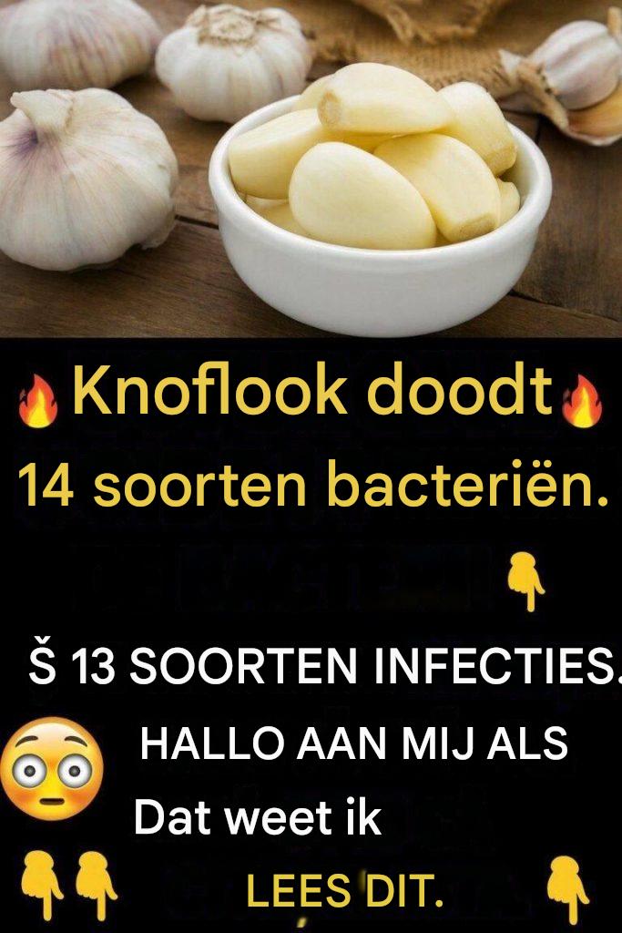 Gebruiker – het kan natuurlijk zijn dat u veel negeert