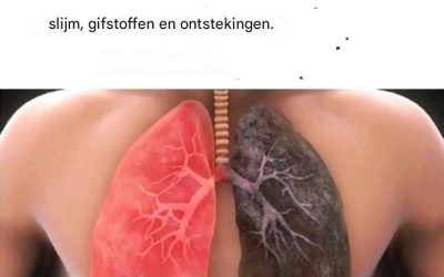 De drie ingrediënten kunnen de slijmvliezen elimineren en de ontstekingen verminderen.