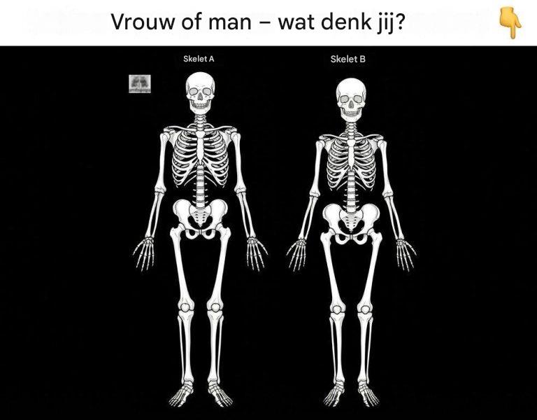 Kun je het verschil zien tussen een vrouwelijk skelet en een mannelijk skelet?