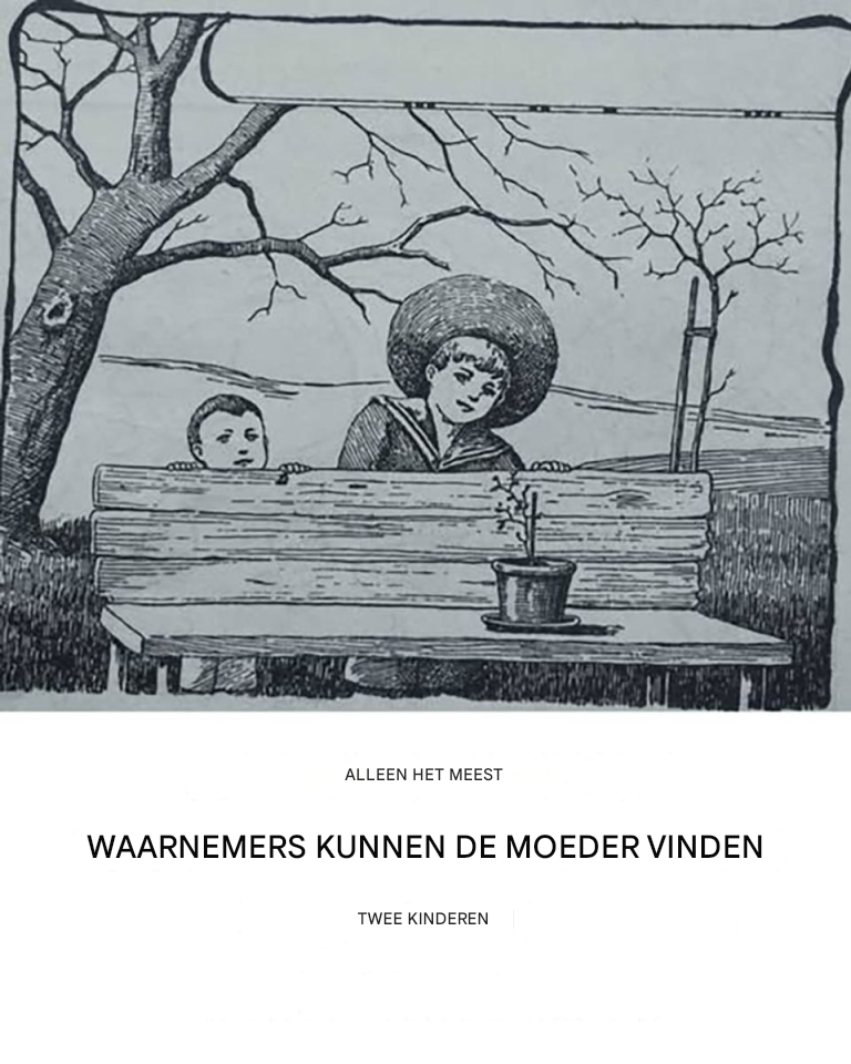 Deze oude illusie zal je versteld doen staan: vind binnen 5 seconden een moeder van twee kinderen.