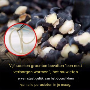 5 groenten die je nooit rauw moet eten – ze kunnen wormnesten verbergen die veranderen in parasieten in je maag