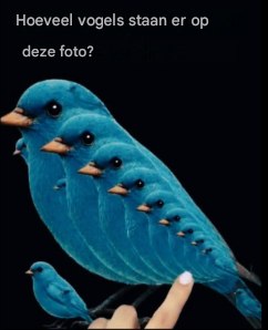 🧩Hoeveel vogels zie je? Klik op de link om het resultaat te bekijken.