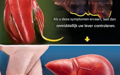 Denk je dat je in goede gezondheid verkeert? Maar je lever denkt daar misschien anders over… Negeer deze 12 verborgen waarschuwingssignalen niet!