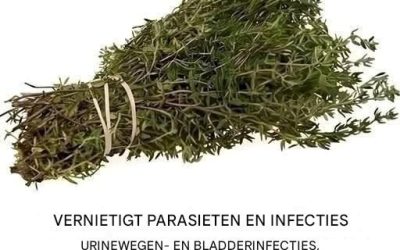 Het is een van de krachtigste planten ter wereld.