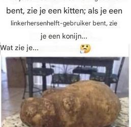 Magische aardappelillusie