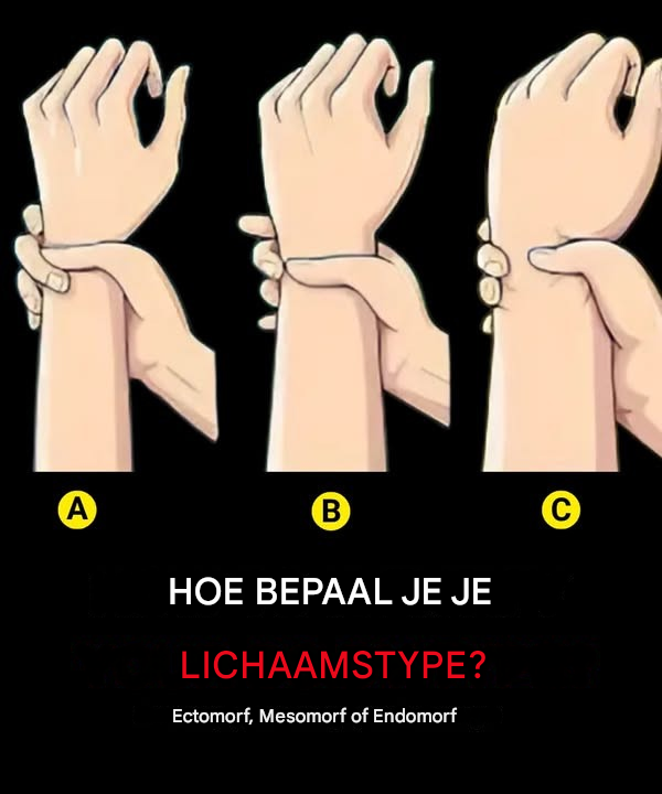Lichaamstypes: Ben je ectomorf, mesomorf of endomorf?