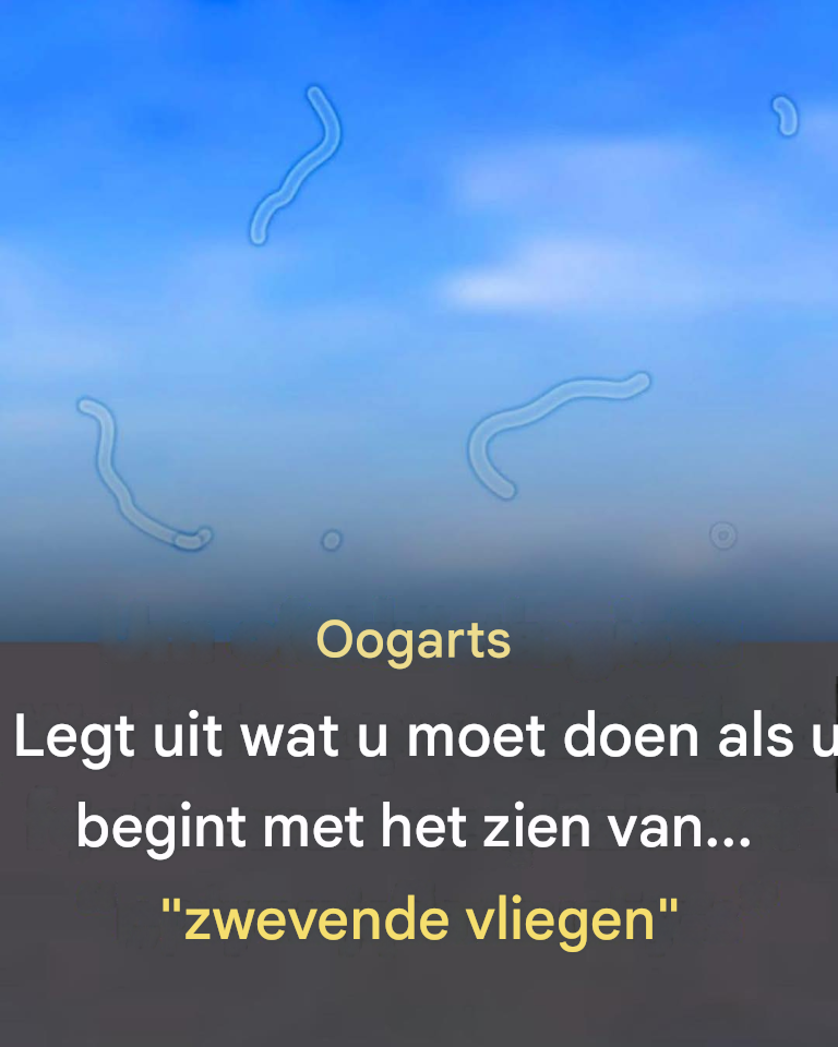 Glasvochtvlokken: wat ze zijn en hoe te reageren als u ze opmerkt.