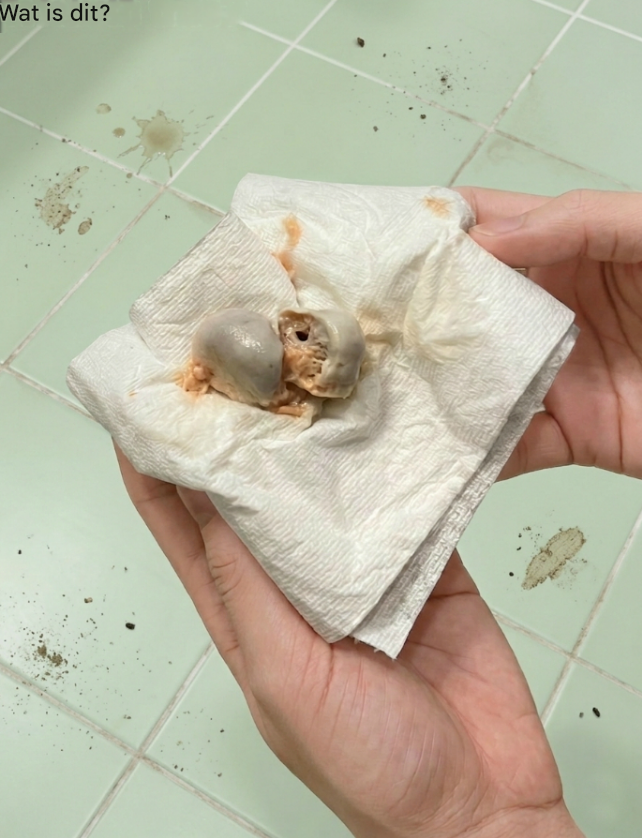 Mijn vrouw en ik vonden dit op de badkamervloer.